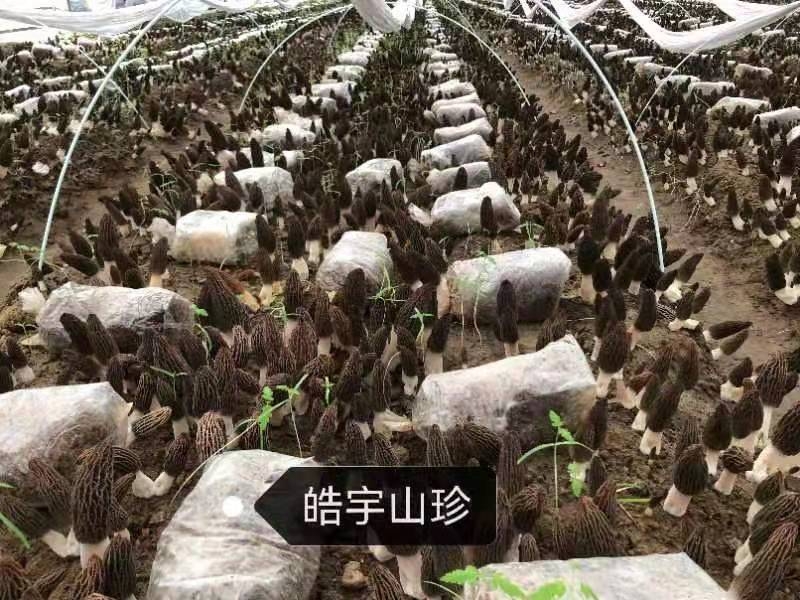 &#24320;&#20803;&#32593;&#31449;&#30331;&#24405;&#20837;&#21475;&#95;&#24320;&#20803;&#65288;&#20013;&#22269;&#65289;